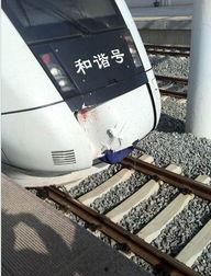 厦门动车事件最新爆料,揭秘事故背后惊人内幕